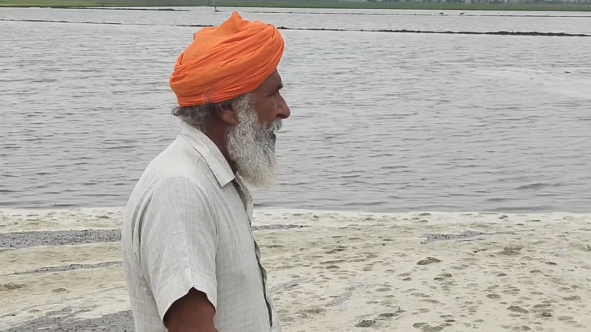 land submerged in canal water