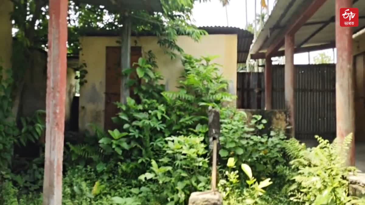 Kalgachia govenment school