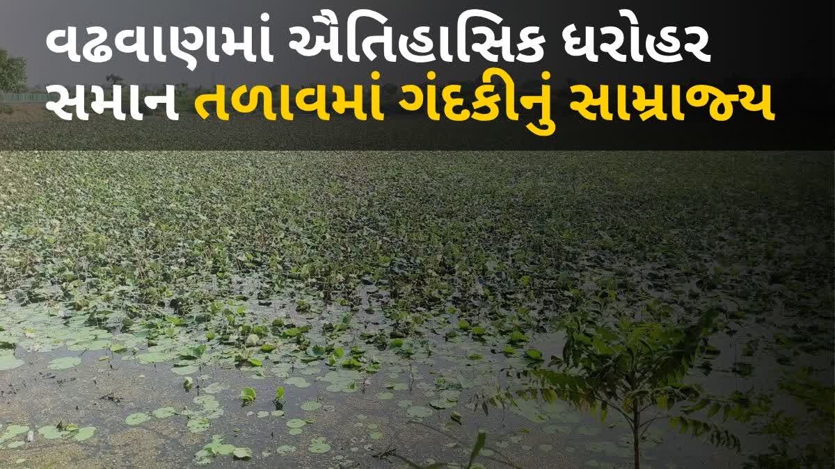 2 કરોડના બ્યુટીફિકેશનના દાવા વચ્ચે વઢવાણના તળાવમાં ગંદકીનું સામ્રાજ્ય