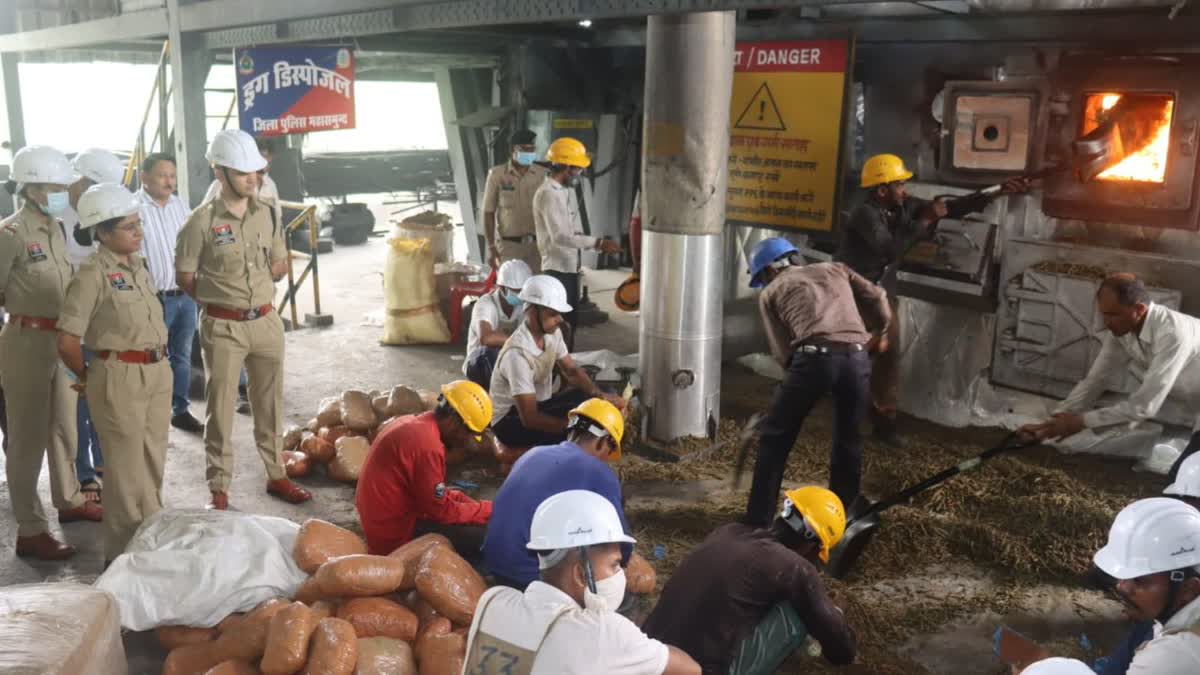 CANNABIS WORTH CRORES BURNT