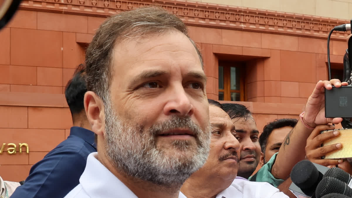 ECI Hits Back At Rahul Gandhi Over Allegations On Electoral Roll Revision In Bihar Rahul Gandhi