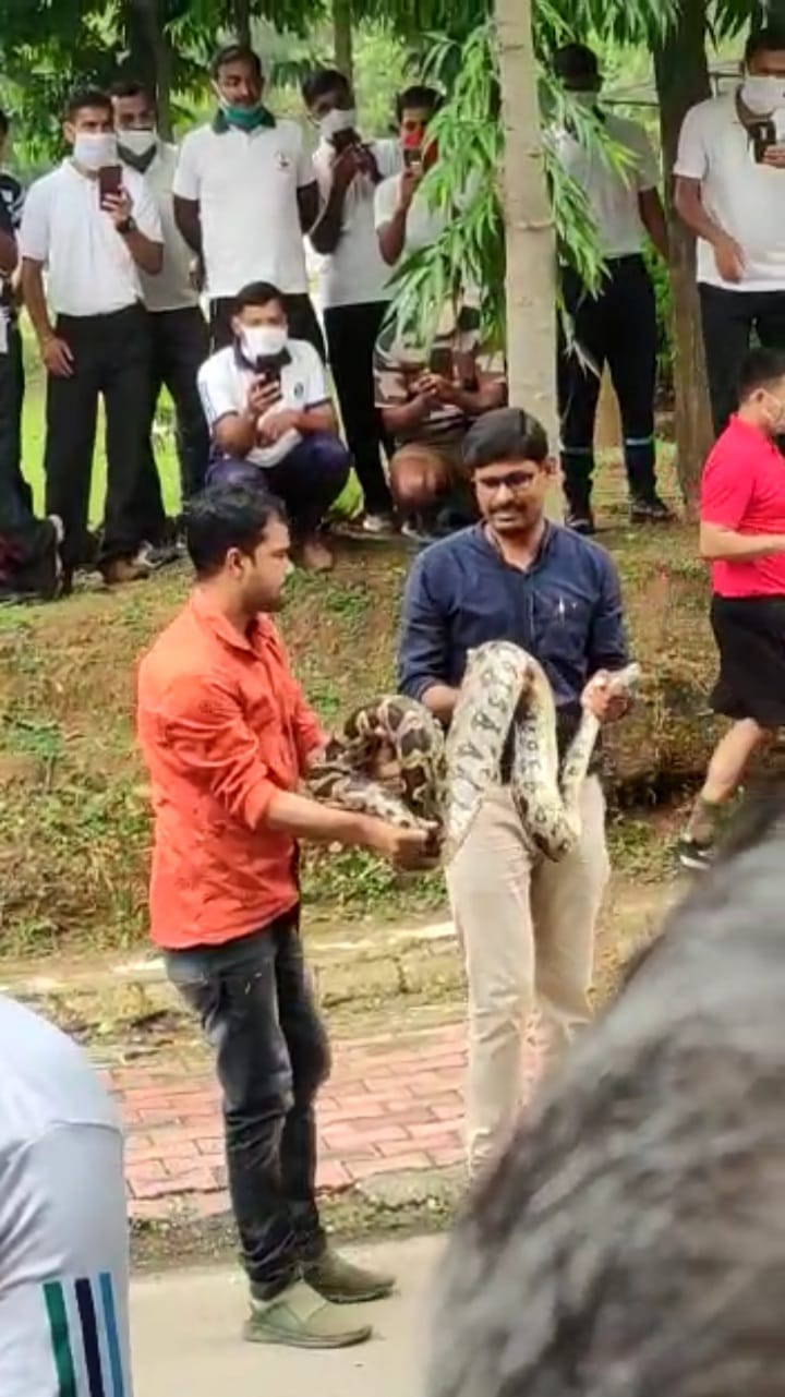 SNAKE RESCUER RAMESH MAHTO