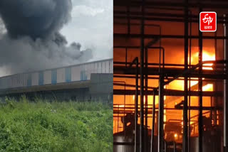 Terrible fire at Tihu North East Mega Food Park in nalbari