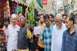 CONGRESS PLANT BESHARM TREES BHOPAL