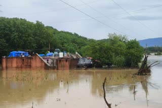 Himachal Disaster 2025