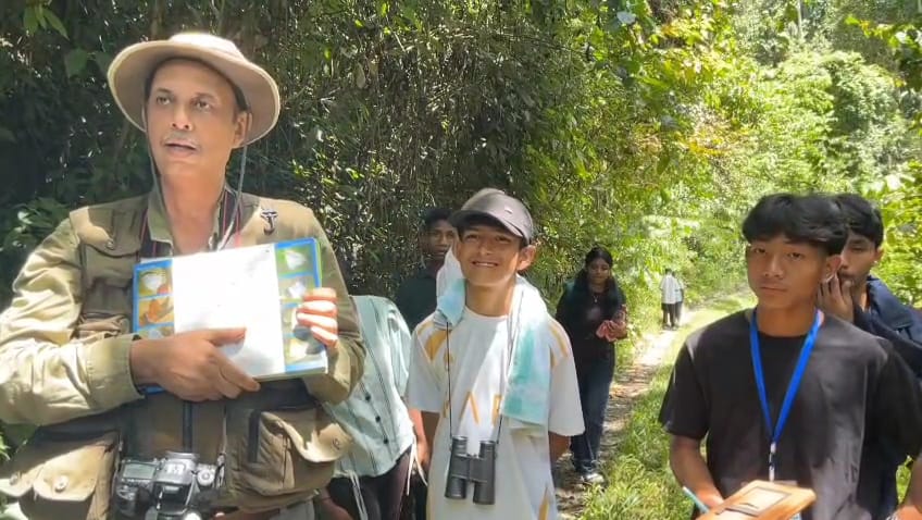 butterfly month at Dihing Patkai