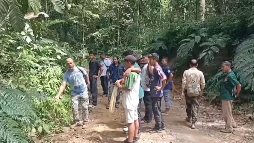 butterfly month at Dihing Patkai