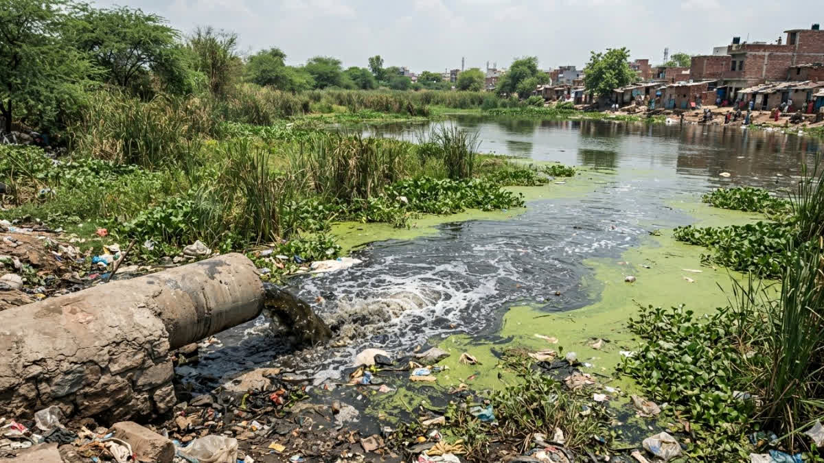 BHOPAL LAKE POLLUTION
