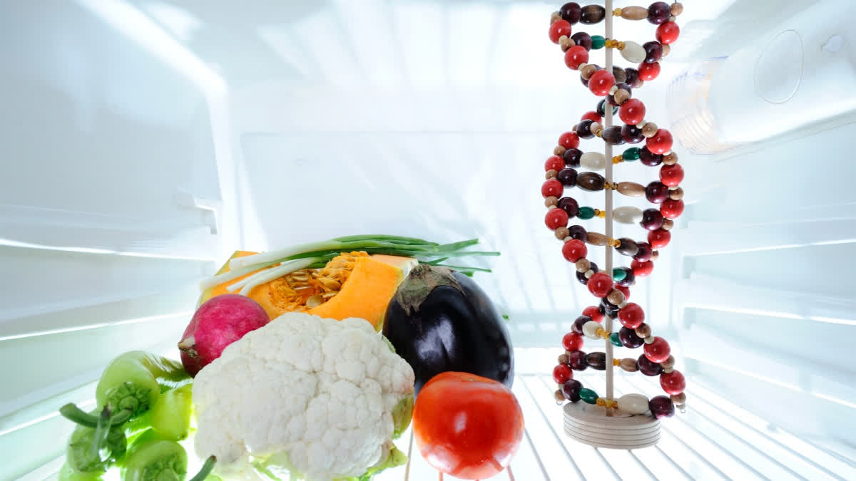 National Nutrition Week 2026: Can What We Eat Influence Our Genes? Nutrition and gene expression