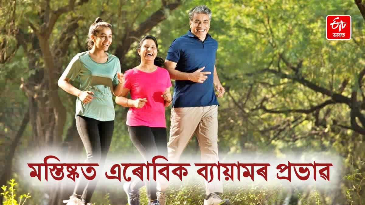 Exercise Changes How The Brain Works During Mental Tasks, Possibly Protecting Against Dementia
