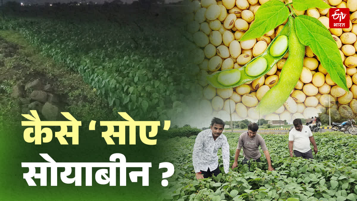 BARRENNESS IN SOYBEAN