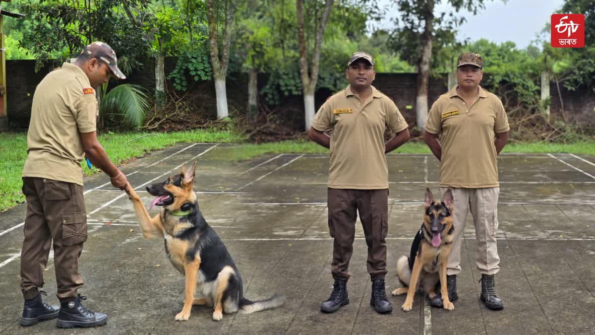 After Kurami Forest department conduct training of K9 Sniffer Prihtivi in Biswanath