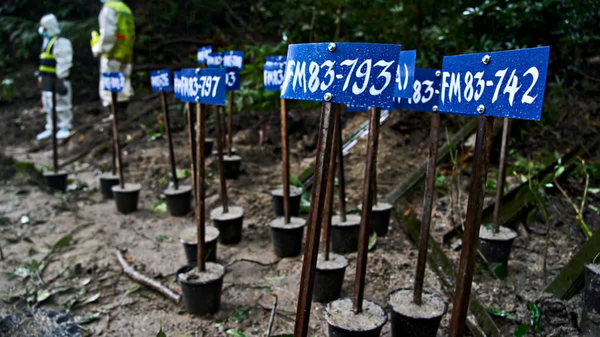 Identification number tags are seen on the bodies of flash flood victims.