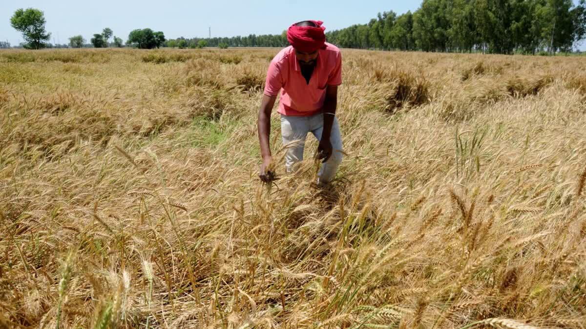 NABARD RURAL SURVEY 2026