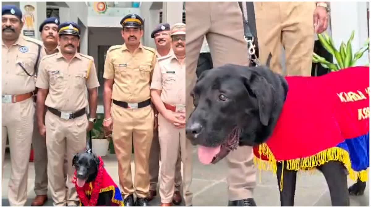POLICE DOG ARJUN  NUMERICAL COGNITION  POLICE DOG TRAINING  police dog birthday celebration