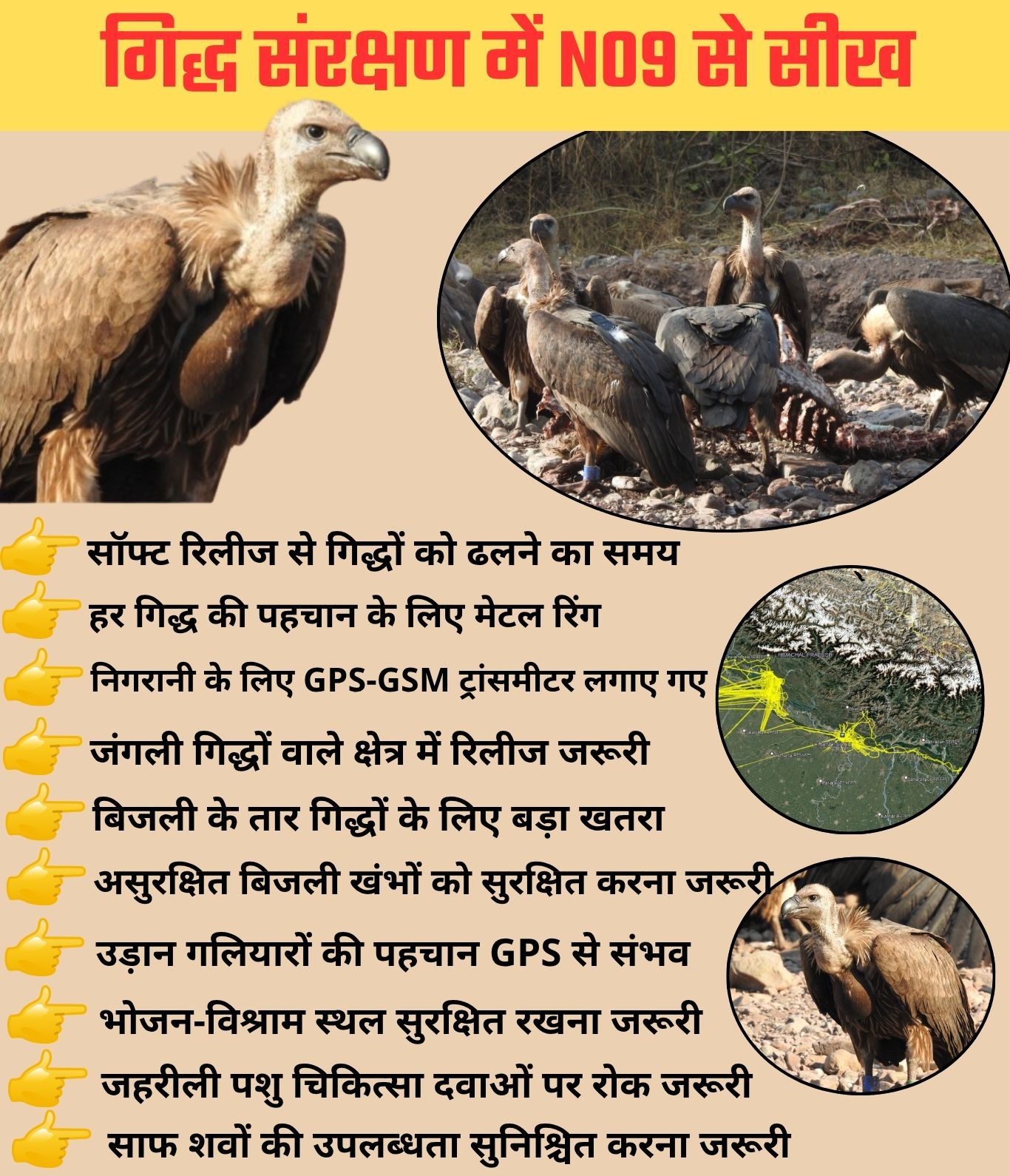 HARYANA VULTURE CONSERVATION
