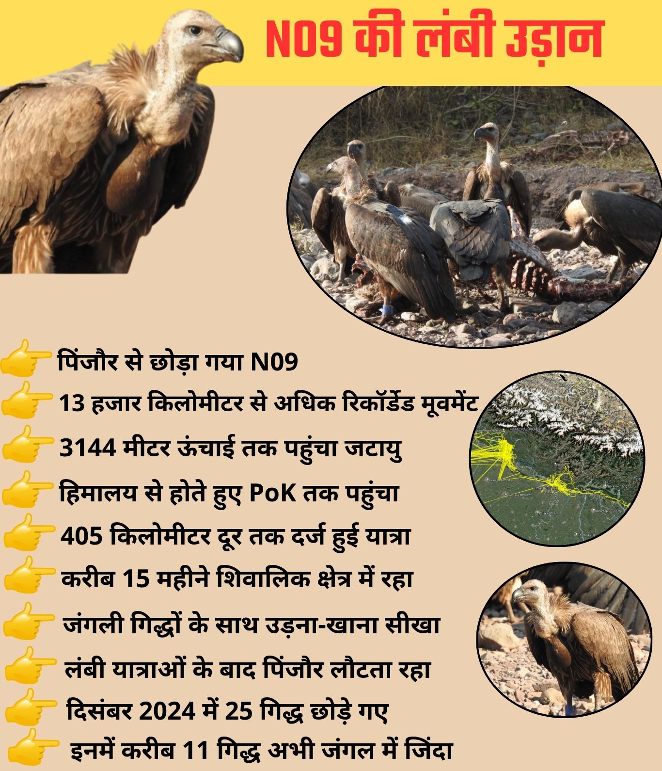 HARYANA VULTURE CONSERVATION