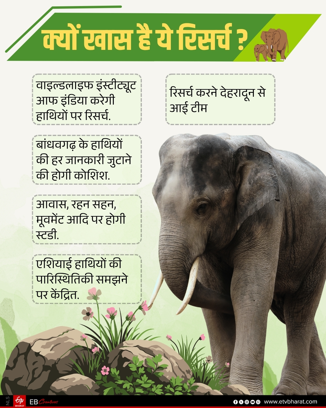 ELEPHANT RESEARCH BANDHAVGARH