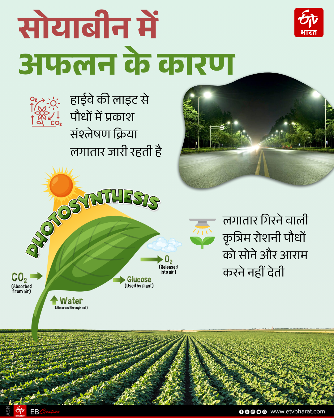 Ratlam Barrenness in soybean