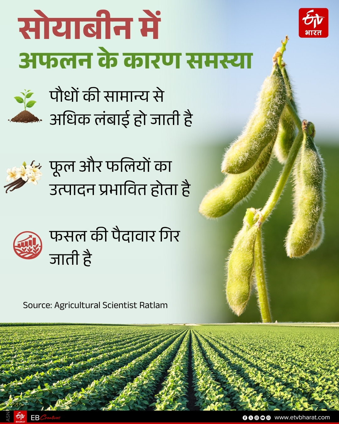 Ratlam Barrenness in soybean