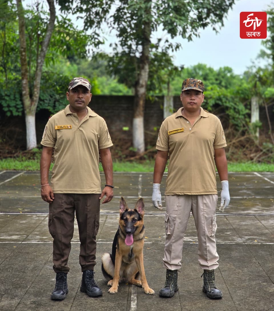 After Kurami Forest department conduct training of K9 Sniffer Prihtivi in Biswanath