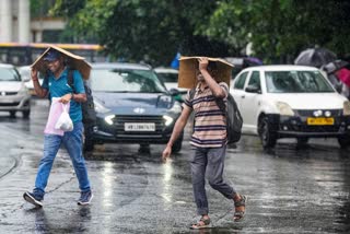 Bengal rain