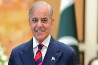 File photo of Pakistan Prime Minister Shehbaz Sharif