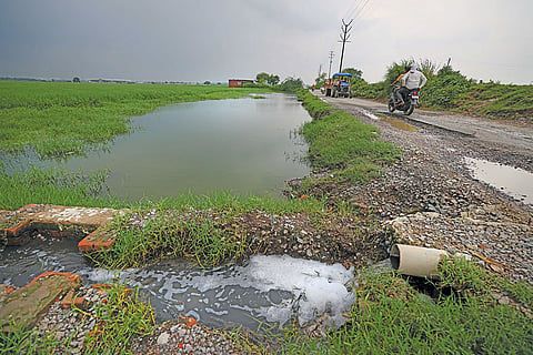 Bhopal wet land issue