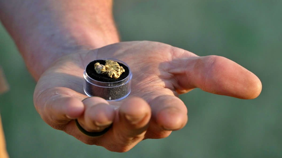 Watch Rising Gold Price Inspires New Rush In California