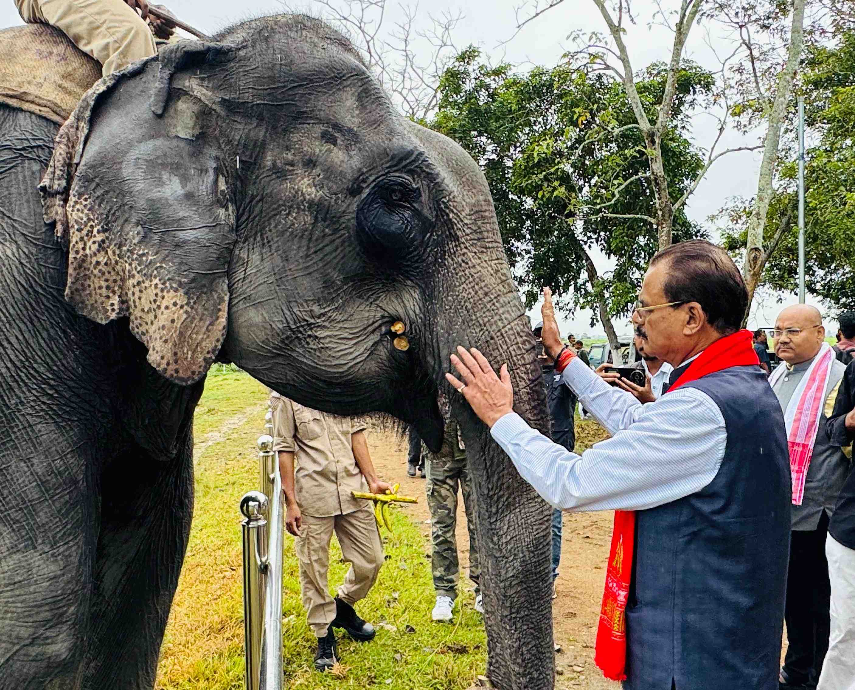 KAZIRANGA NATIONAL PARK