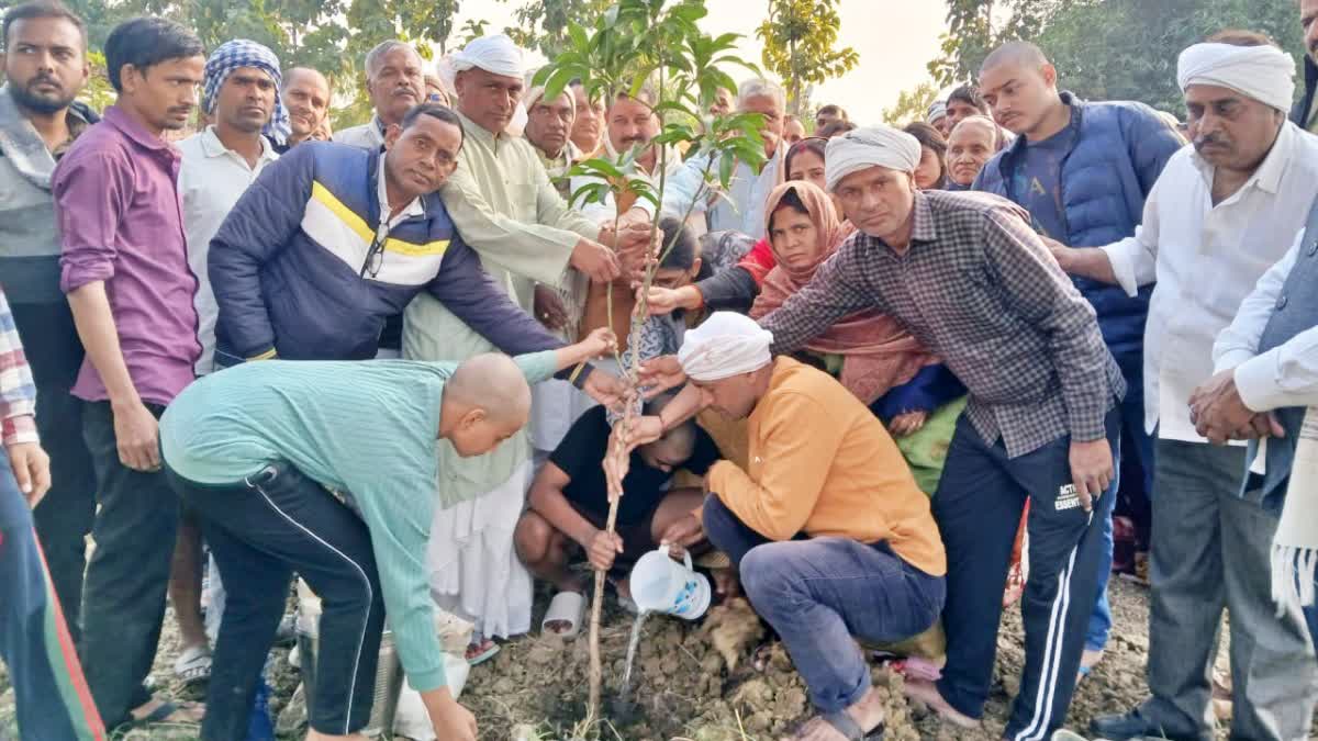 example of Hindu Muslim unity