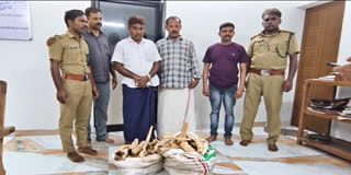 SANDALWOOD SEIZURE  NILAMBUR ILLEGAL SANDALWOOD SEIZURE  NILAMBUR FOREST FLYING SQUAD  SANDALWOOD SMUGGLING CASE