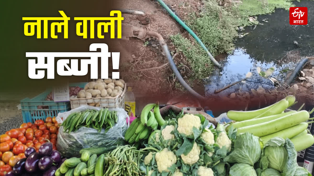 TOXIC VEGETABLES IN MARKET MADHYA PRADESH