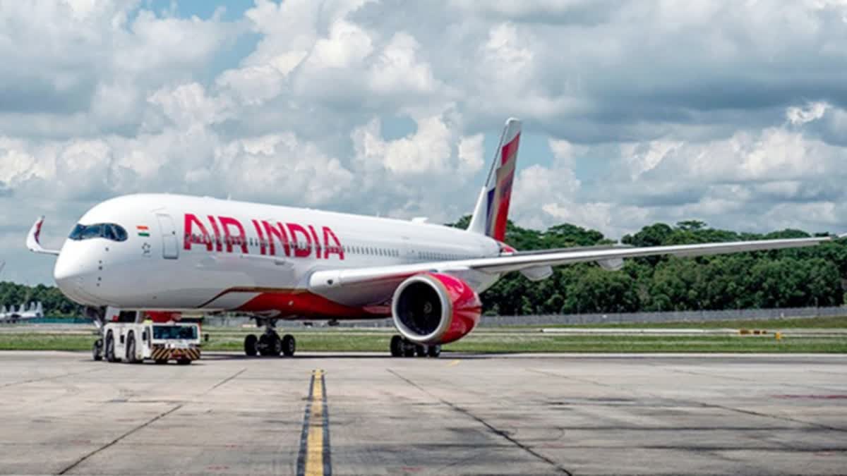 Air india pilot