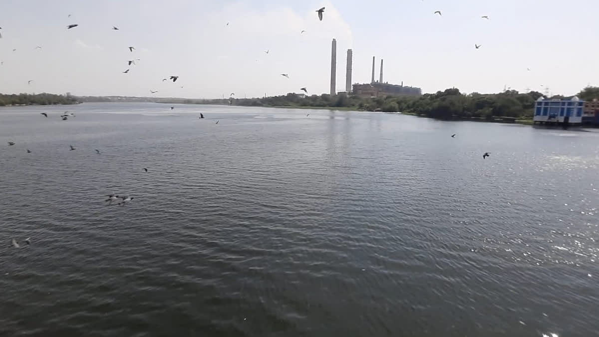 National Board for Wildlife