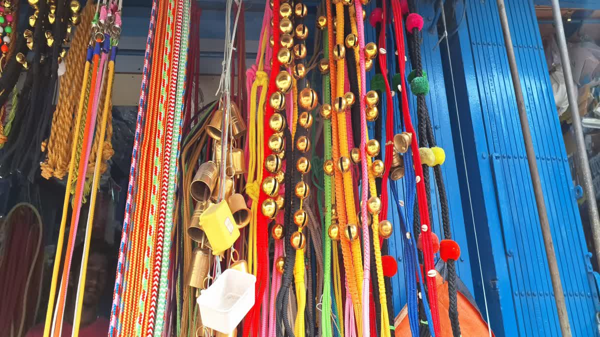 காளை மூக்கணாங்கயிறு