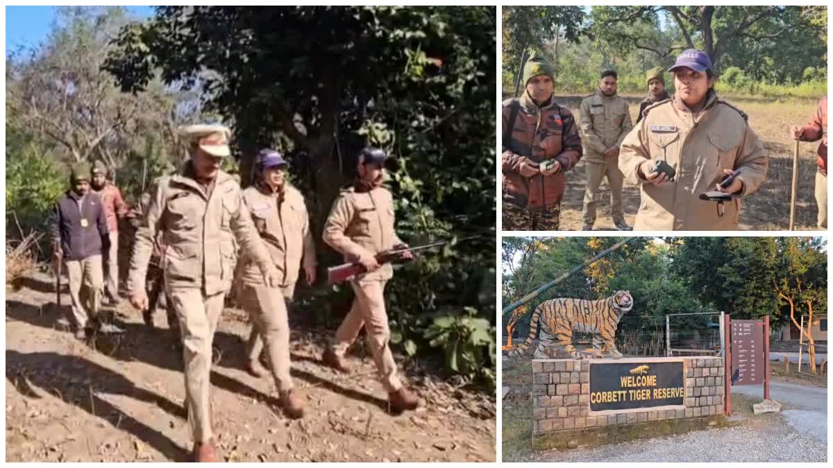 Ramnagar Corbett Tiger Reserve