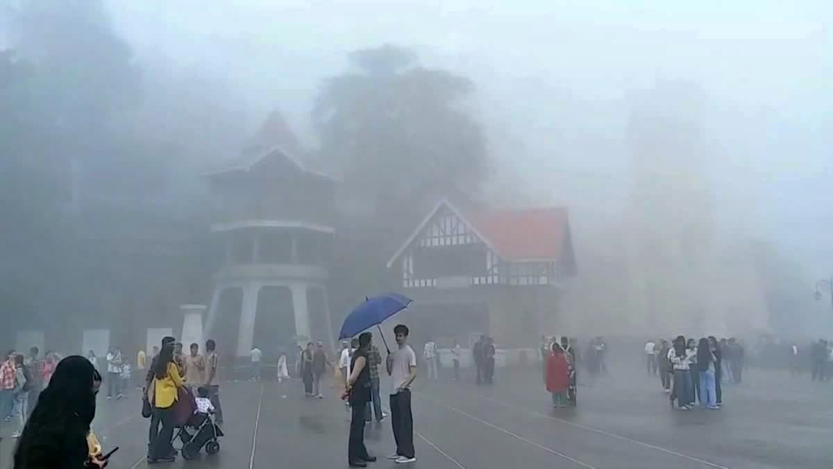 Himachal Cold Wave Dense Fog