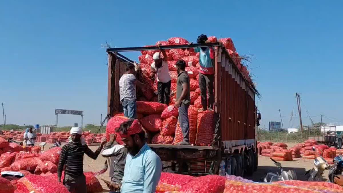 મહુવા માર્કેટિંગ યાર્ડમાં લાલ ડુંગળીની ભારે આવક: 5 જાન્યુઆરી સુધી નવી આવક પર પ્રતિબંધ