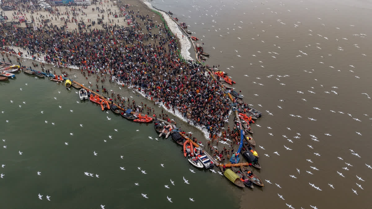 Magh Mela 2026 In Pictures: Paush Purnima Festival In Prayagraj An aerial view of a flock of gulls flying above people taking a holy dip at Sangam on Saturday.