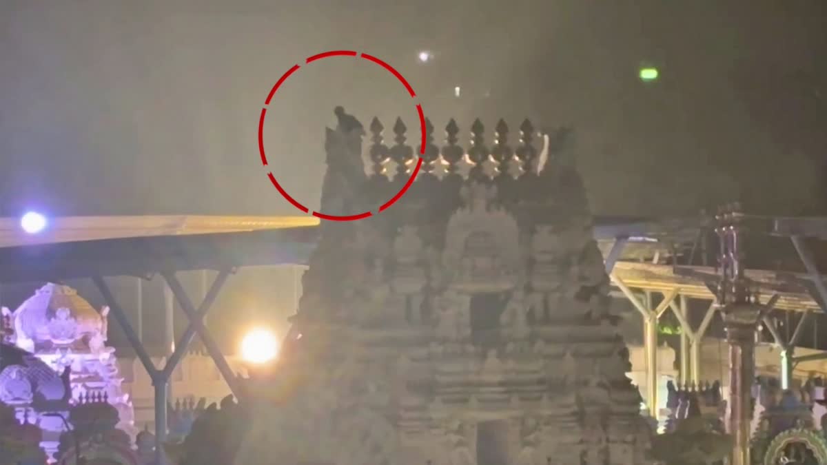 Security Lapse at Sri Govindaraja Swamy Temple in Tirupati