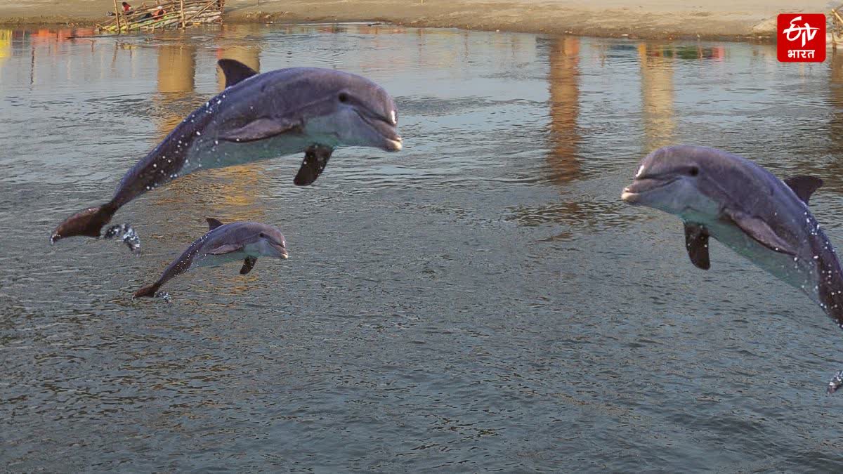 Photo Credit; ETV Bharat