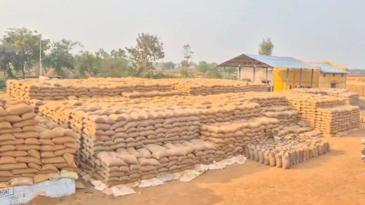 paddy lifting going on slow pace