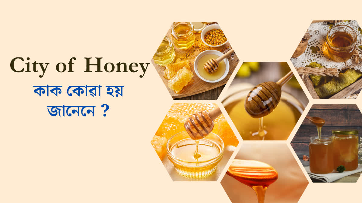 Maharajganj: The City of Honey in India Beekeeping, Production, and Economic Impact
