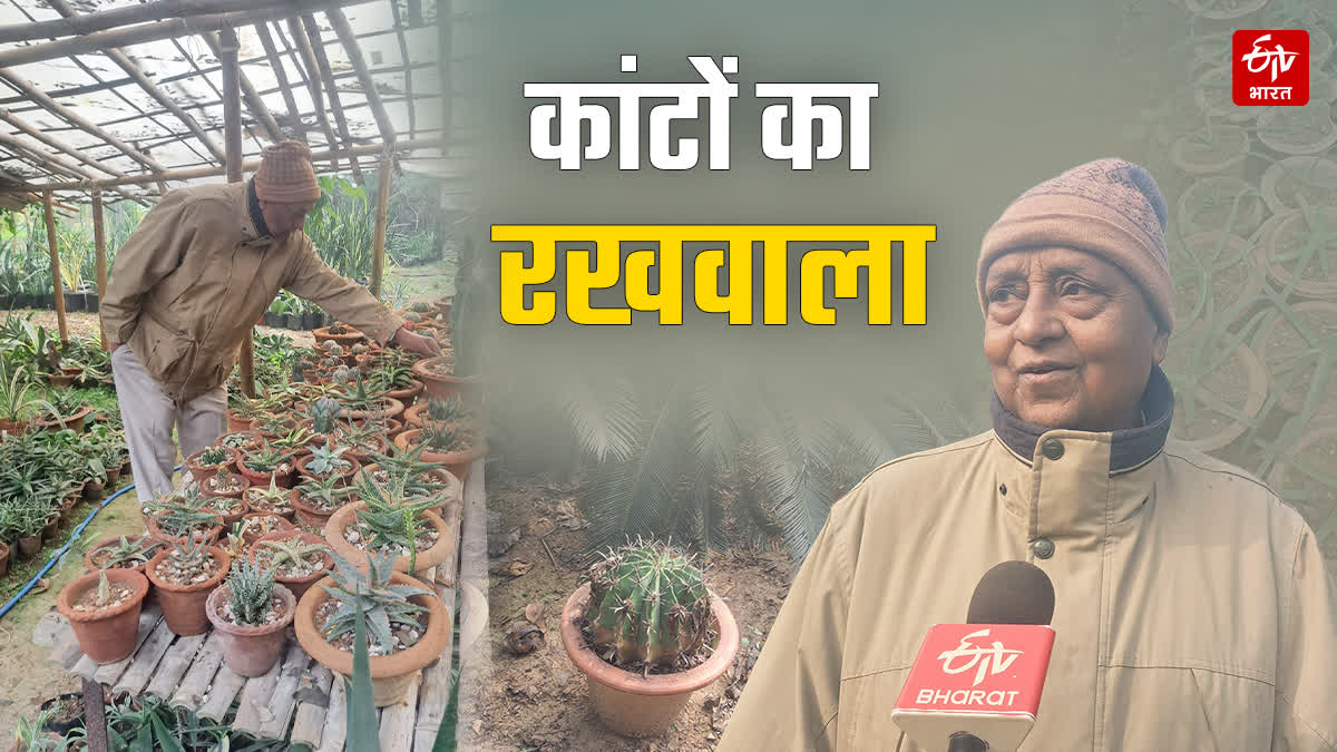 BIHAR CACTUS MAN