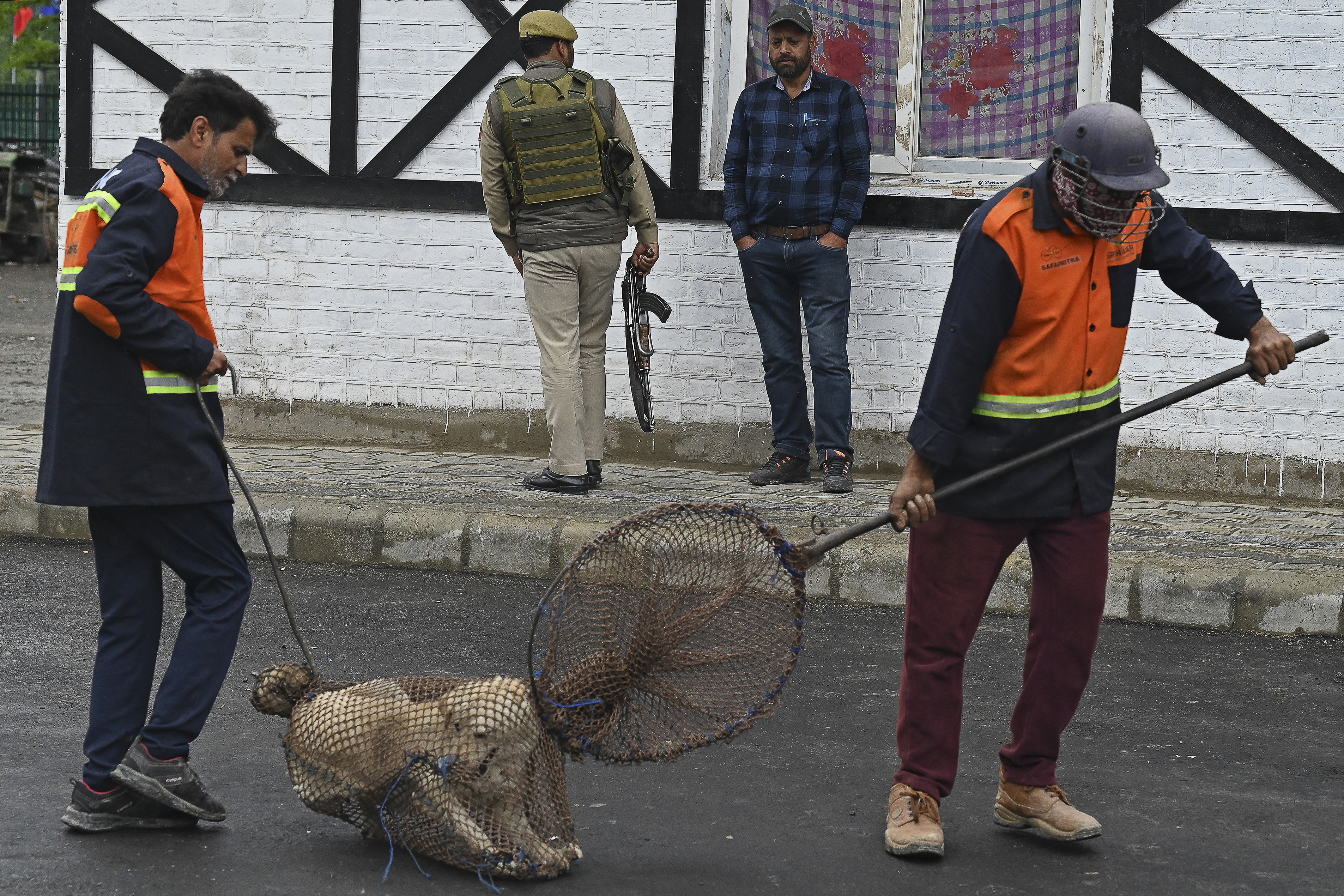 Municipal workers catch stray dogs in Srinagar