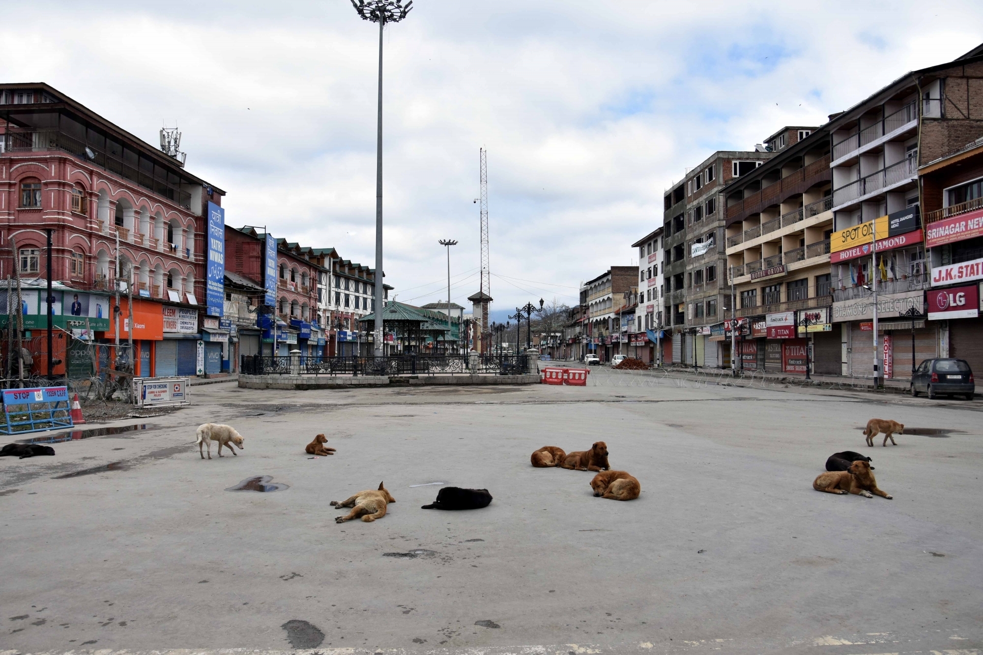 A pack of dogs near clock tower in Lal Chowk, Srinagar