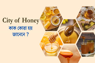Maharajganj: The City of Honey in India Beekeeping, Production, and Economic Impact