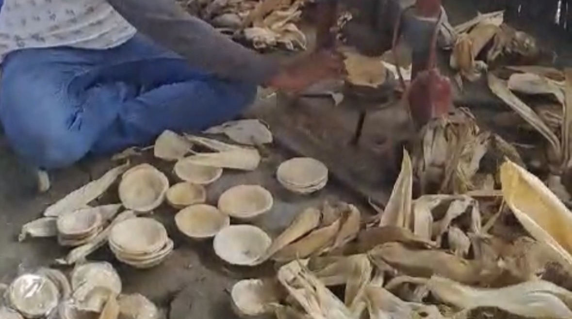 Bihar Engineer Turns Corn Husk Waste Into Plastic-Free Cups, Gets Rs 30 Lakh Railway Order