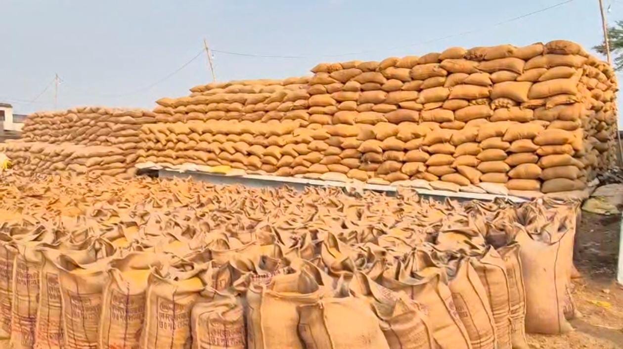 paddy lifting going on slow pace